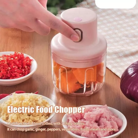 Electric Mini Food Grinder